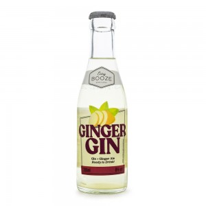 Gin Tonic Easy Booze Ginger Gfa 200 ml