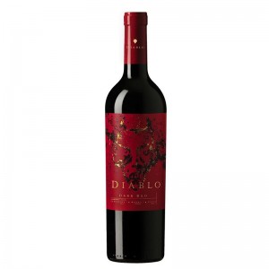 Vinho Casillero Del Diablo Dark Red 750 ml
