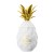 Licor Pinaq Colada 50ml - Miniatura