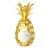Licor Pinaq Original Tropical 50ml - Miniatura